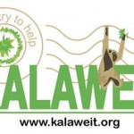 Kalaweit – Sauvegarde des gibbons – Indonésie