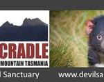 Devils@Cradle – Tasmanie – AUSTRALIE