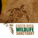 WILDLIFE SANCTUARY – MOIN – COSTA RICA